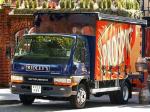 Mitsubishi Fuso Canter 1993 года (UK)